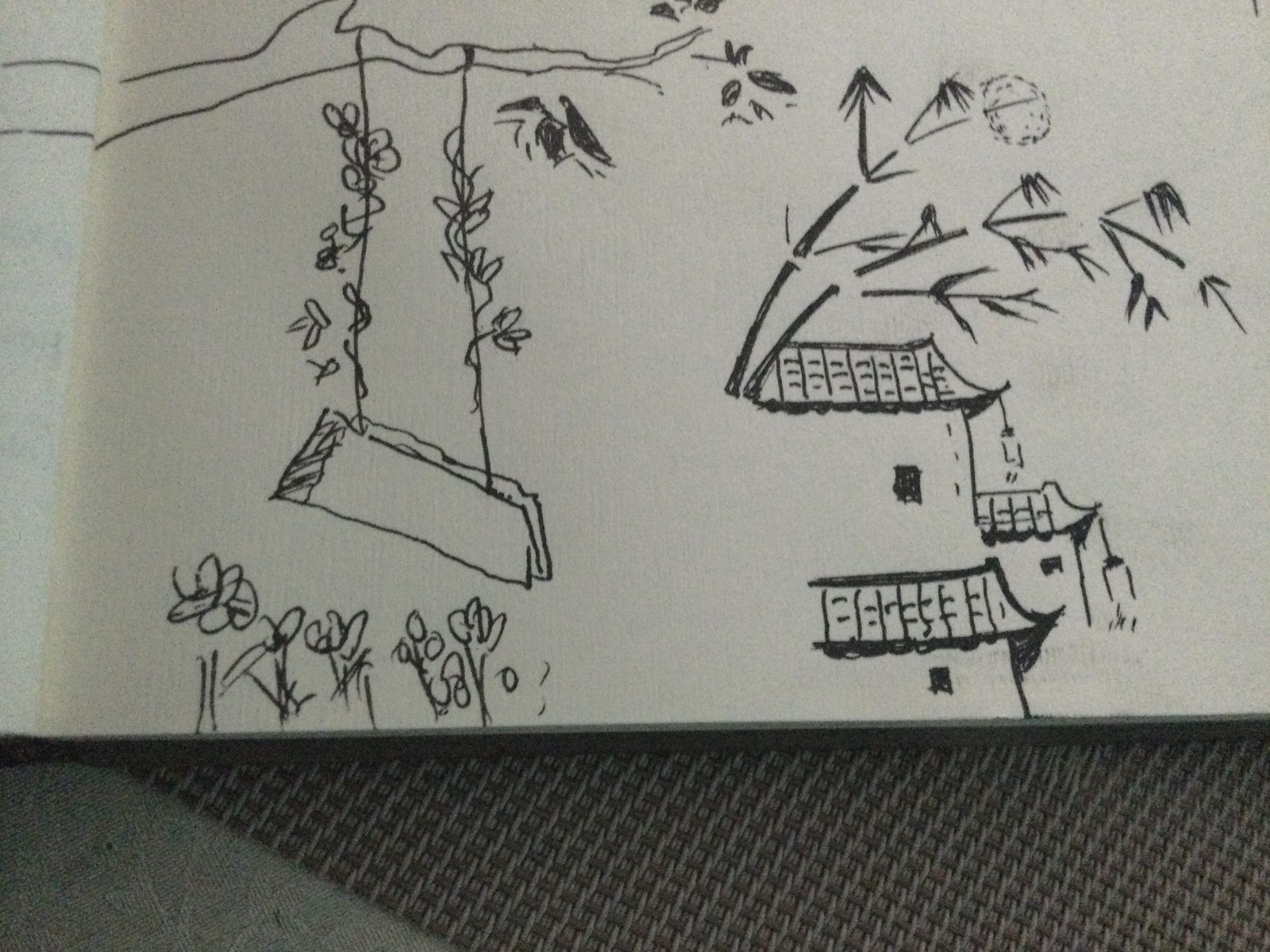 Pages from the diary