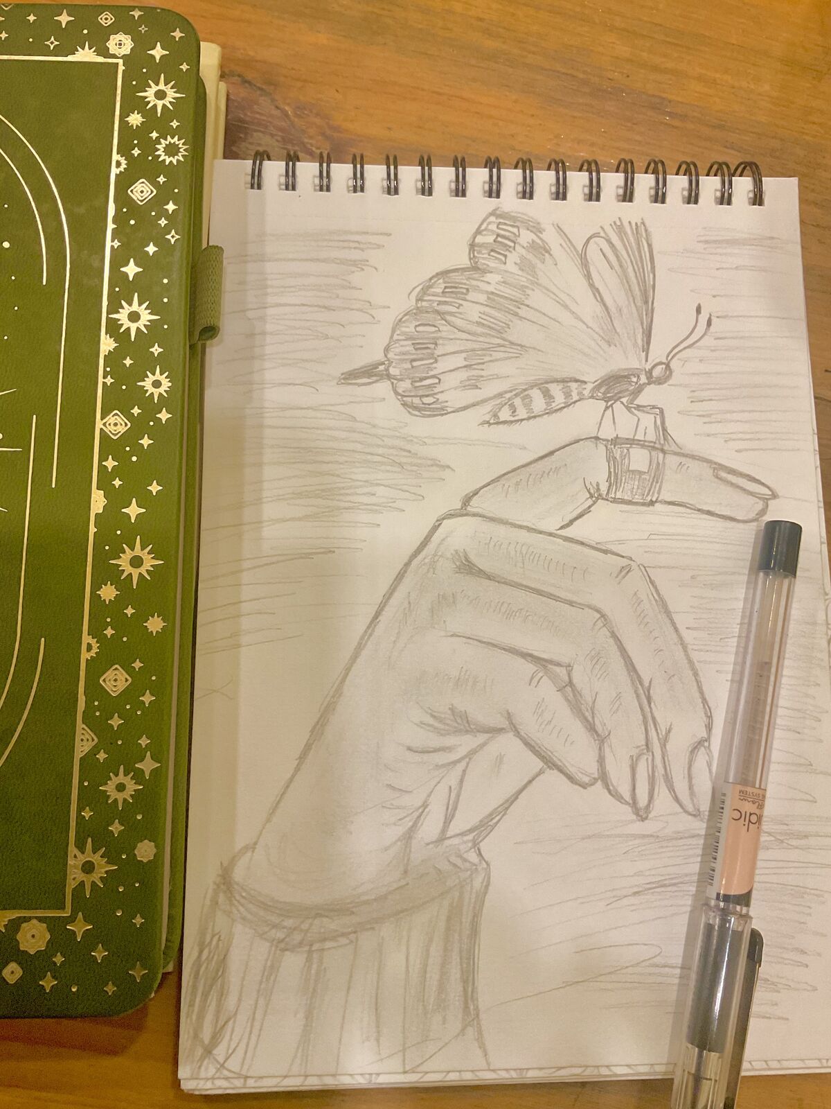 Pencil drawing of a butterfly landing on a hand