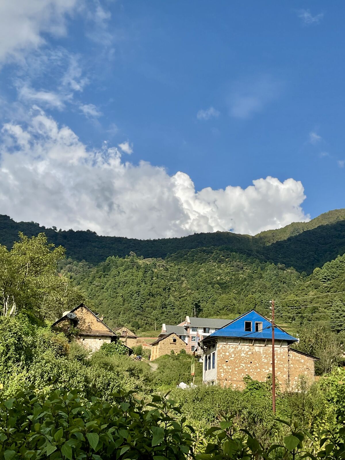 Village houses with a blue roof beneath green hills