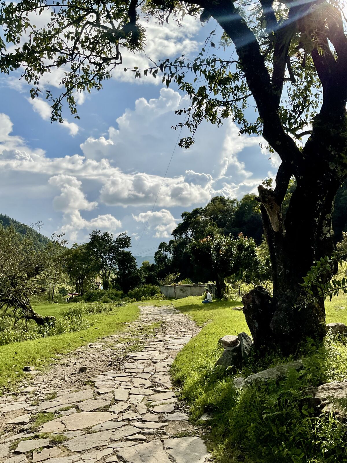 A stone-paved trail under a big tree, Chitlang