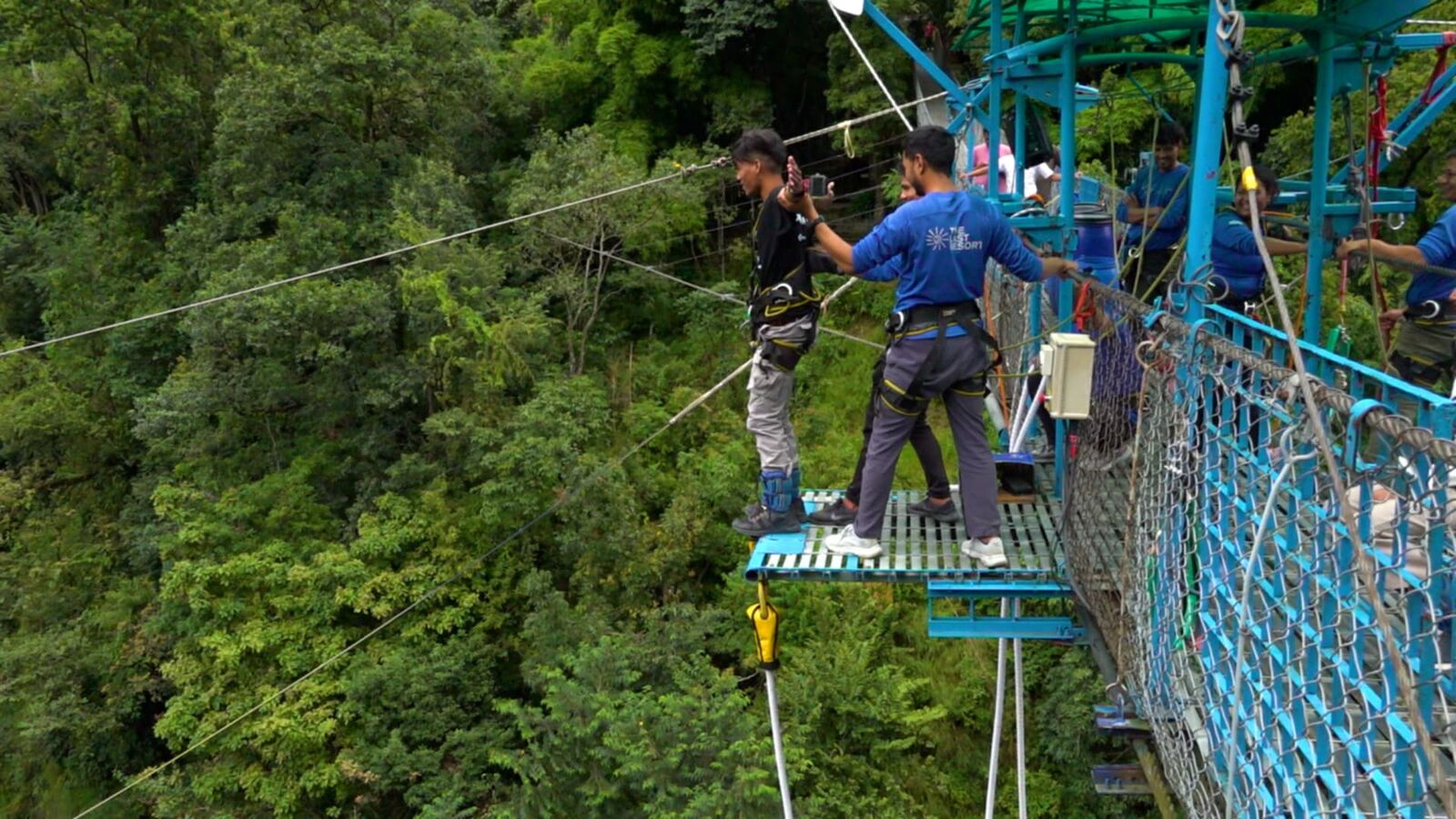Canopy walk above the forest